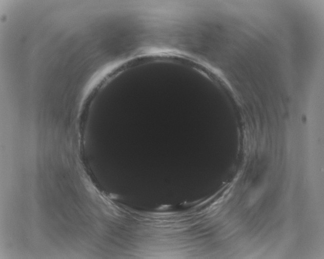 X0000066091319200603171045