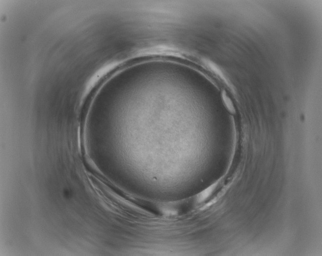 X0000066091320200603171045