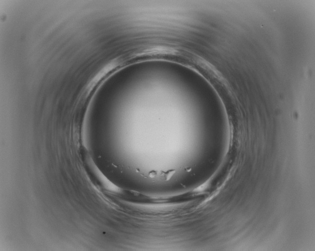 X0000066091321200603171045