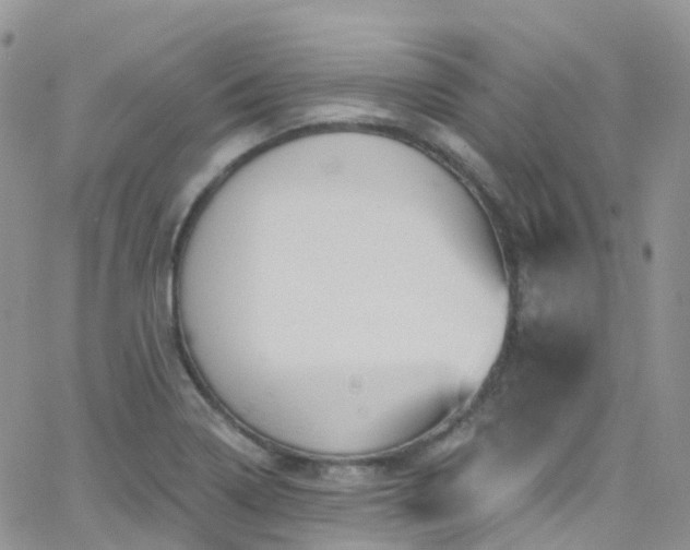 X0000066091322200603171045