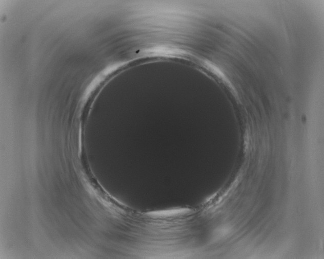 X0000066091323200603171046