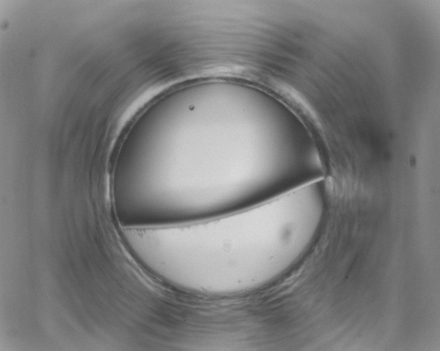 X0000066091324200603171046