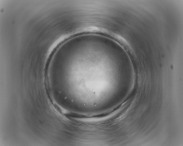 X0000066091326200603171046