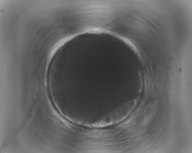 X0000066091327200603171046