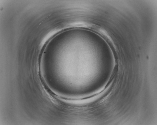 X0000066091328200603171046