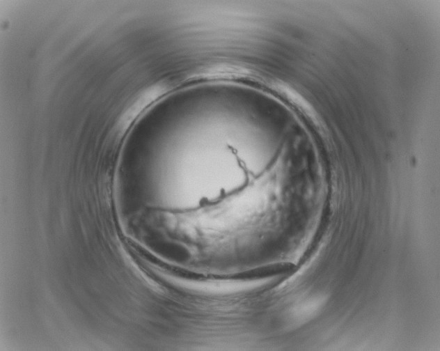 X0000066091329200603171046