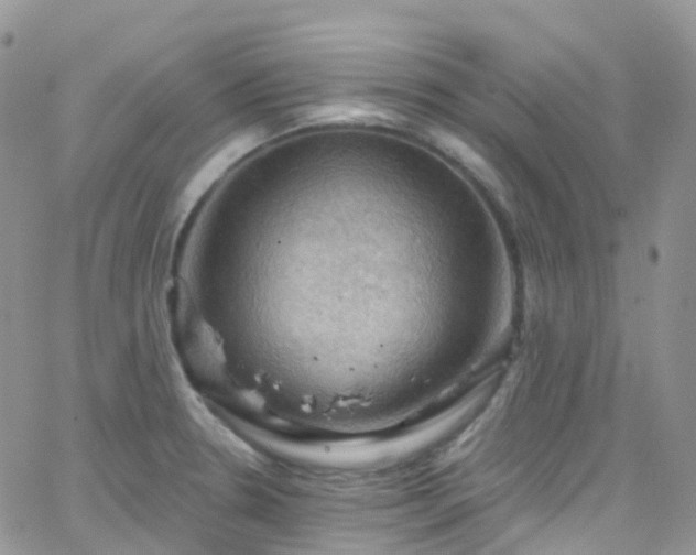 X0000066091330200603171046