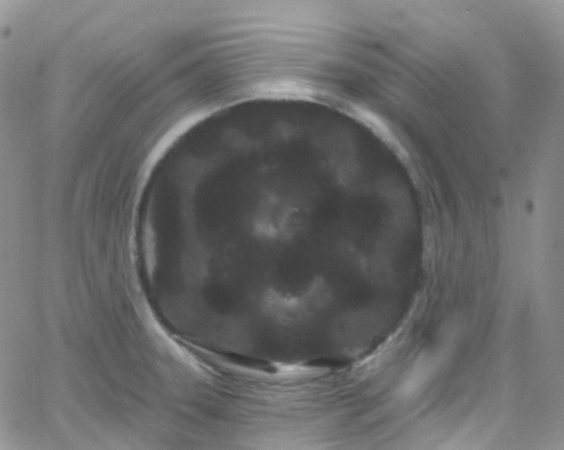 X0000066091331200603171046