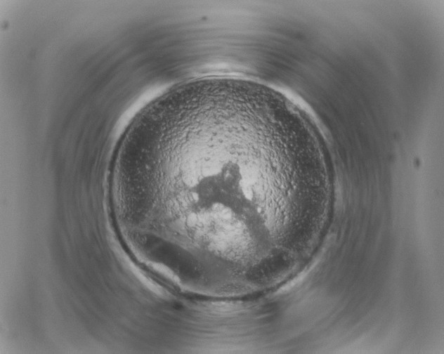 X0000066091333200603171046