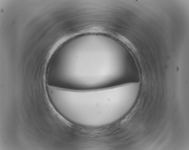 X0000066091334200603171046