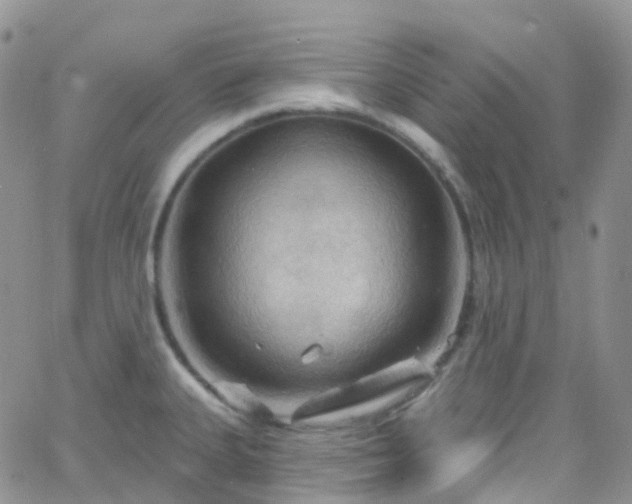 X0000066091335200603171046