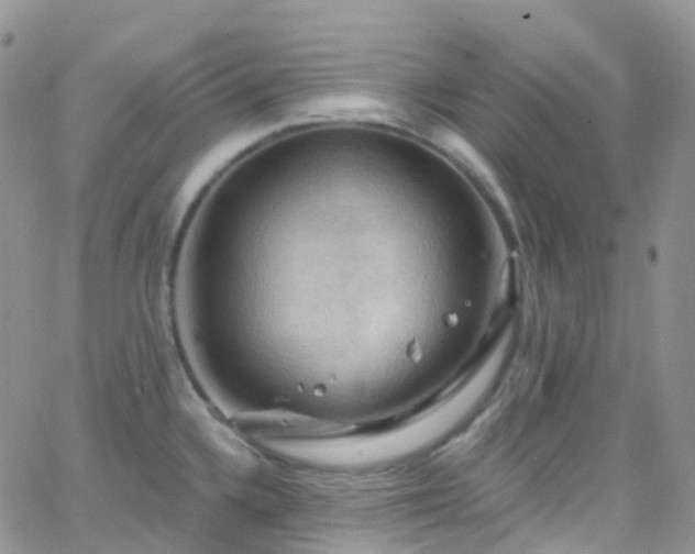 X0000066091336200603171046