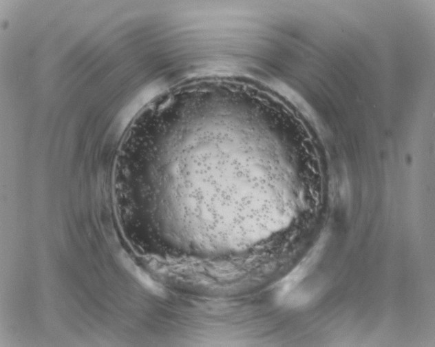 X0000066091337200603171046