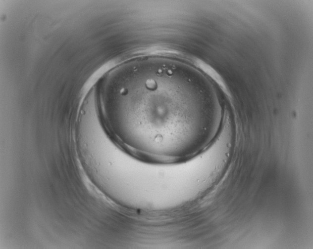 X0000066091338200603171046