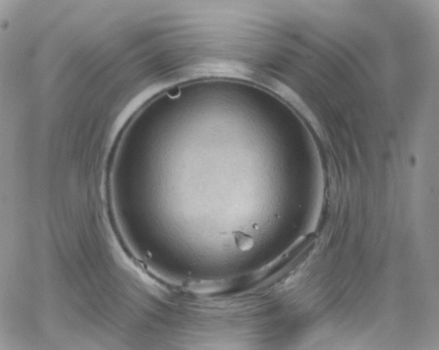 X0000066091339200603171046