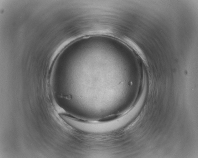 X0000066091340200603171046