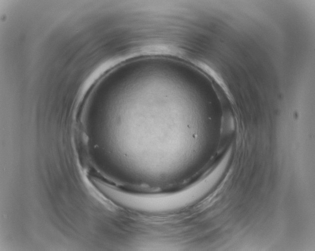 X0000066091342200603171046