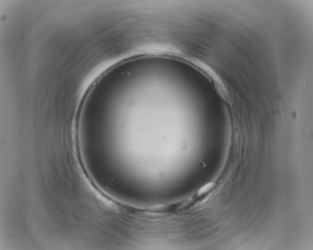 X0000066091343200603171046