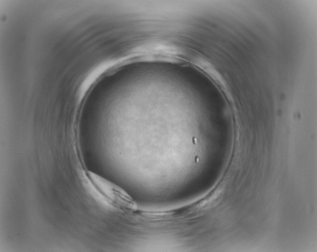 X0000066091344200603171046