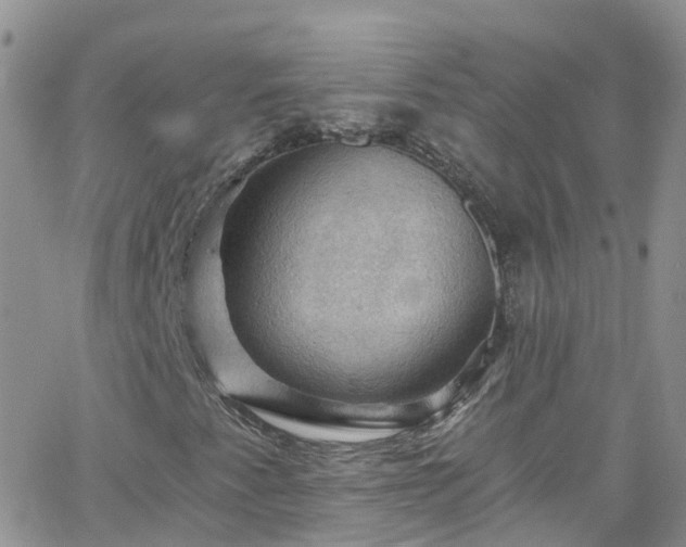 X0000066091345200603171045