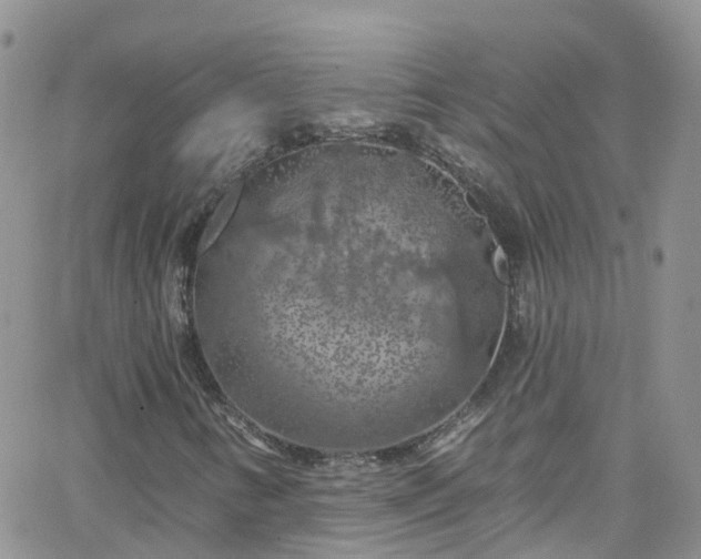 X0000066091346200603171045