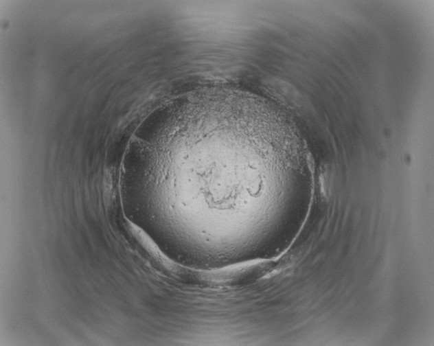 X0000066091347200603171045