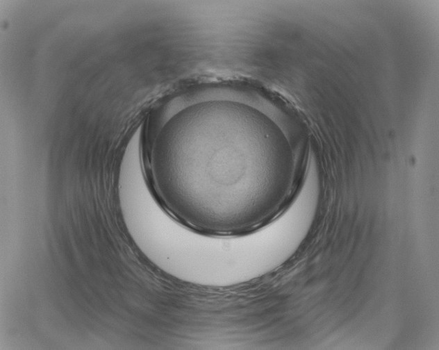 X0000066091348200603171045