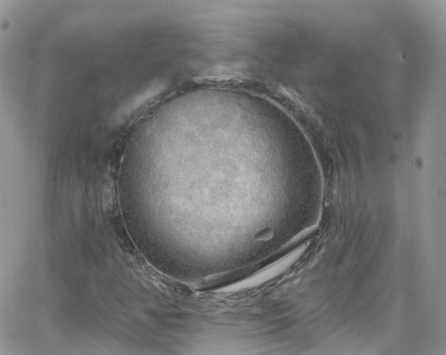 X0000066091350200603171045