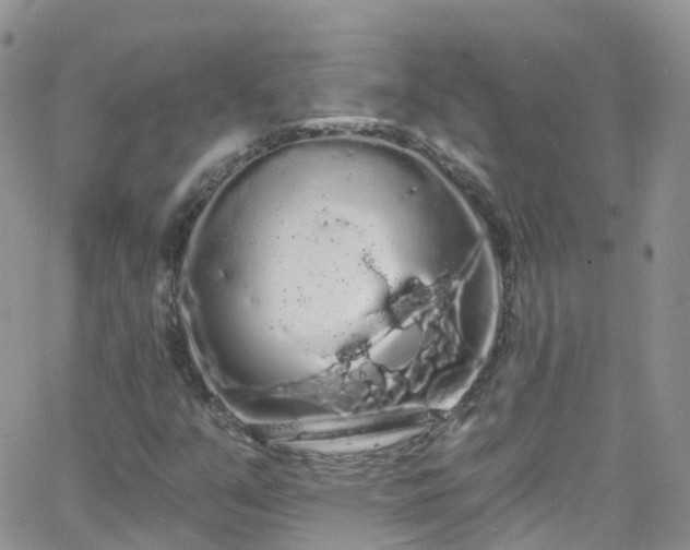 X0000066091351200603171045