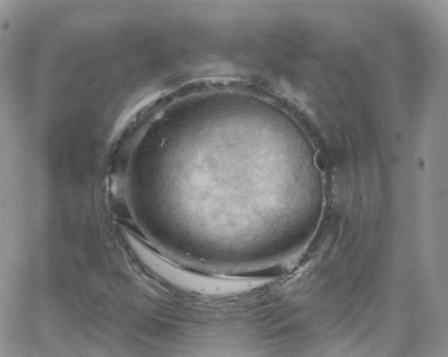 X0000066091352200603171045