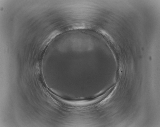 X0000066091353200603171045