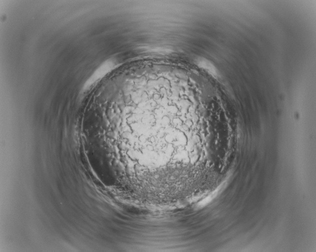 X0000066091354200603171045