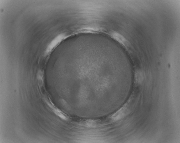 X0000066091355200603171045