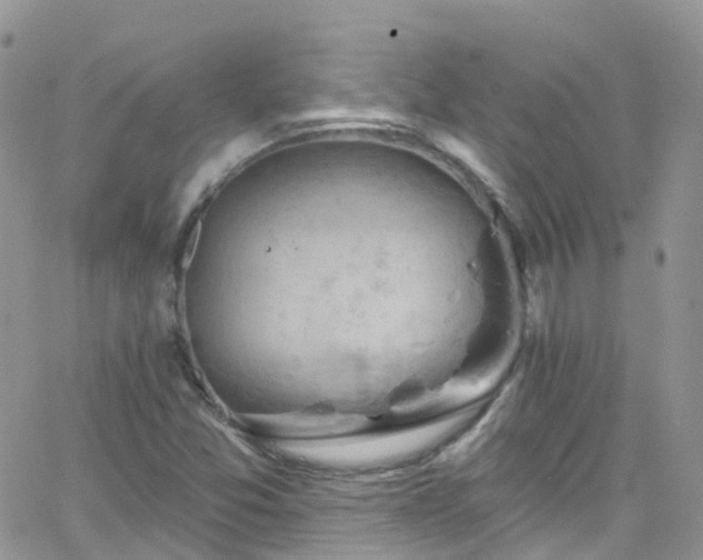 X0000066091357200603171045