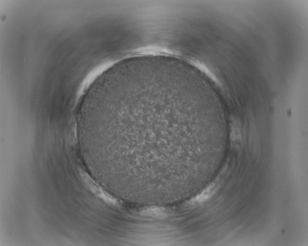 X0000066091358200603171045