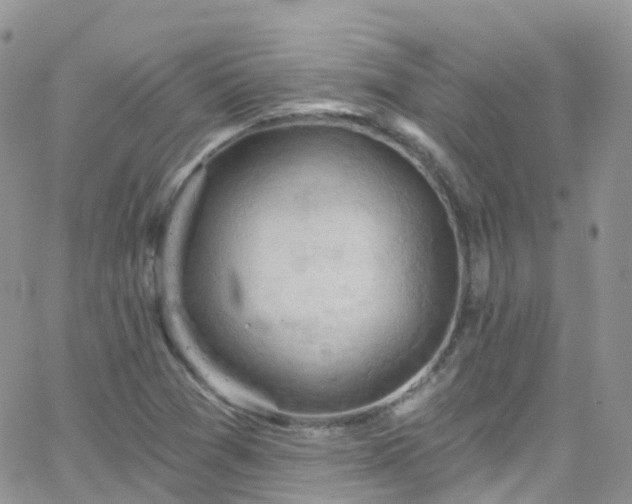 X0000066091361200603171045