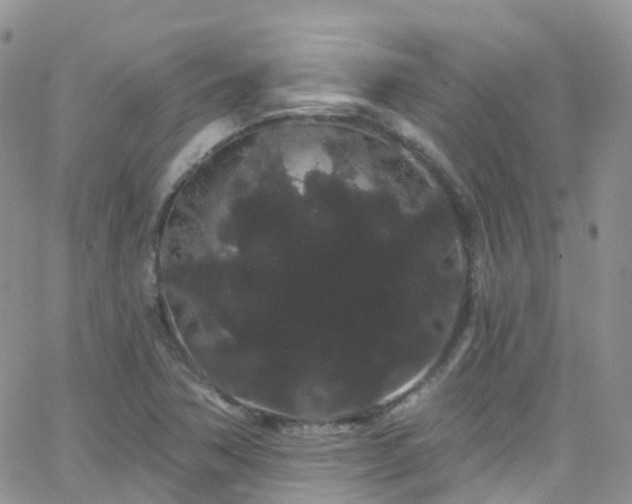 X0000066091362200603171045