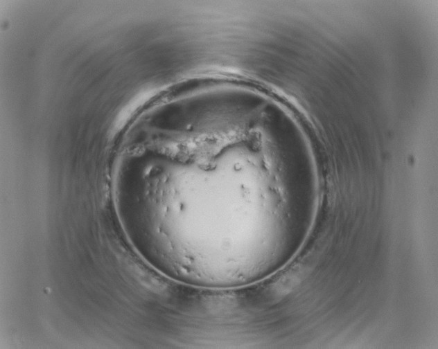 X0000066091363200603171045