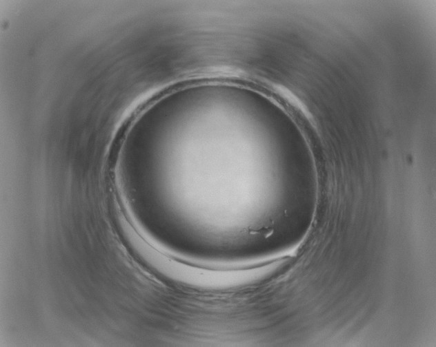 X0000066091364200603171045