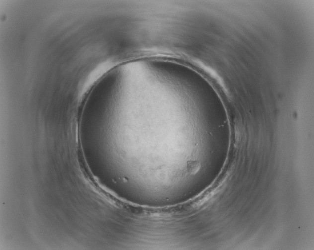 X0000066091365200603171045