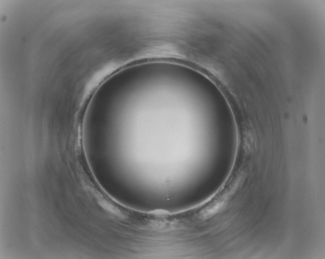 X0000066091366200603171045