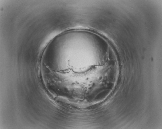 X0000066091367200603171045