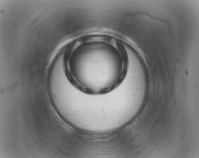 X0000066091368200603171045