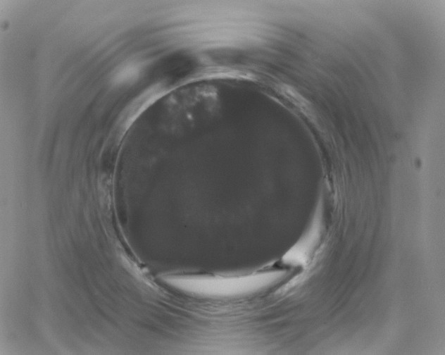 X0000066091369200603171045