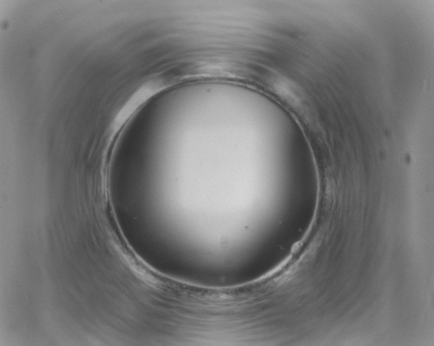 X0000066091370200603171045