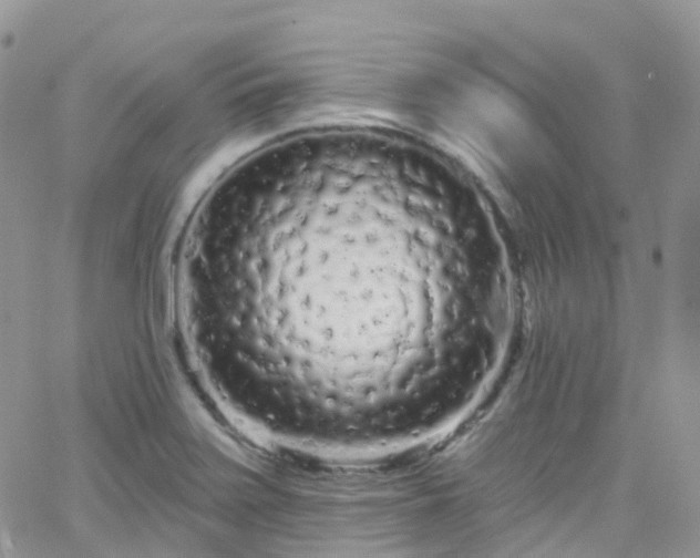 X0000066091371200603171045