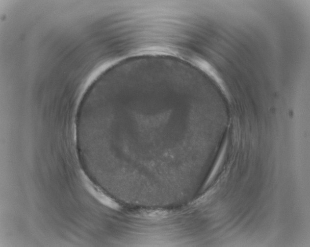 X0000066091372200603171045