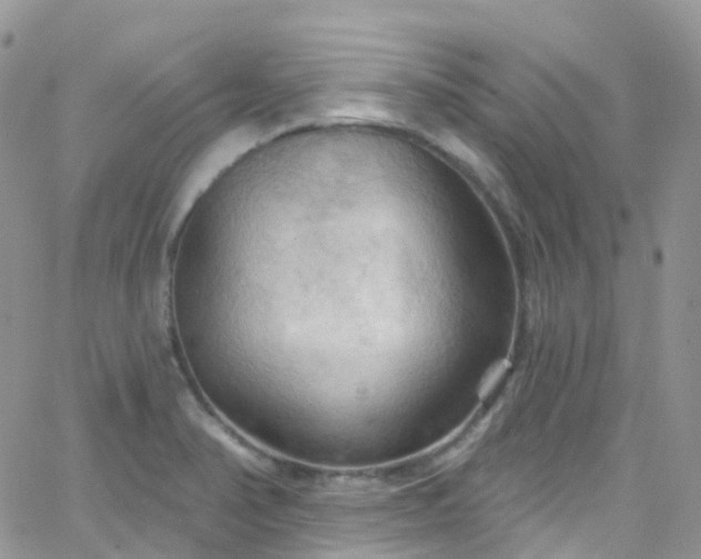 X0000066091374200603171045