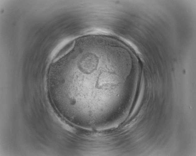 X0000066091375200603171045