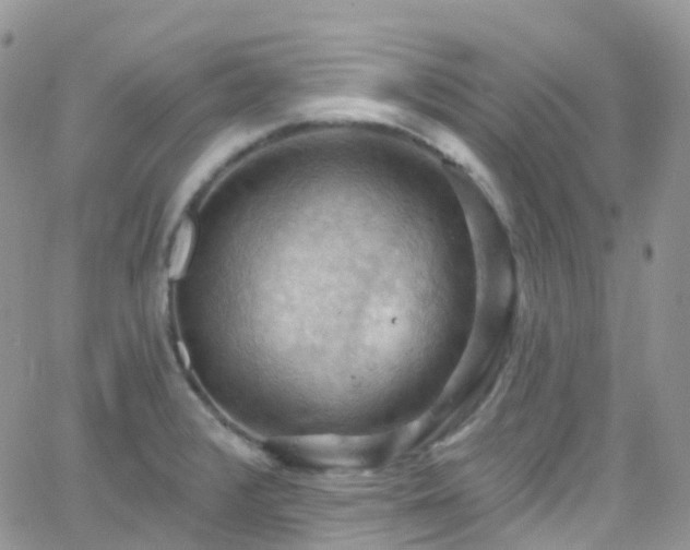 X0000066091376200603171045